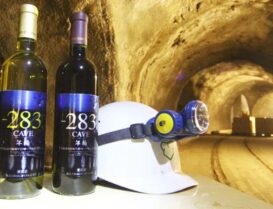 はこだてわいん　海底熟成